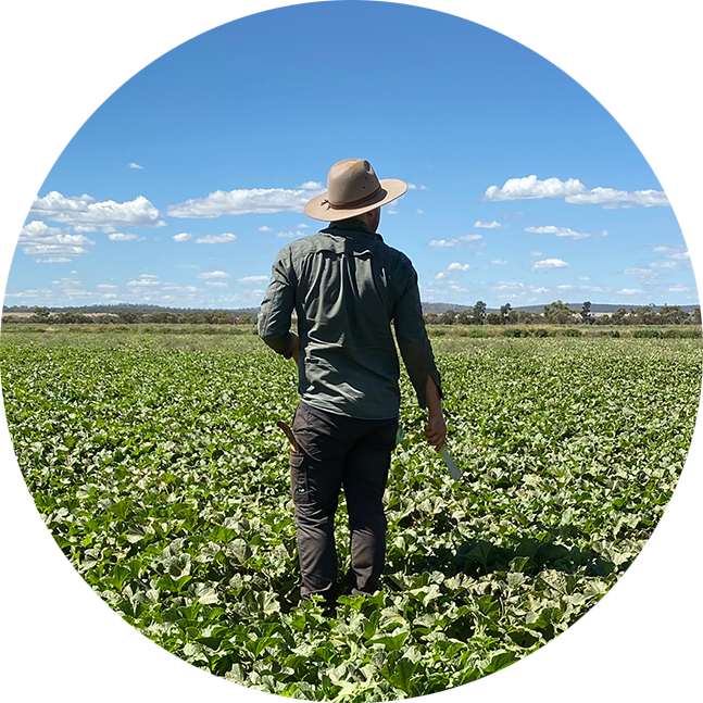 Employee on the field Landcape round