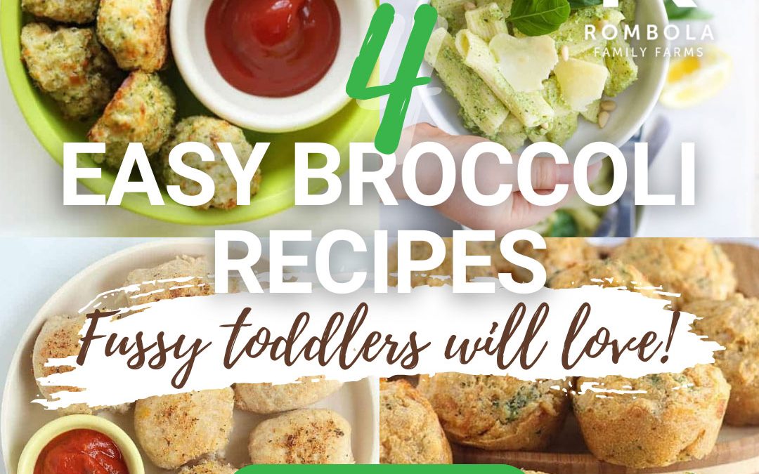 Easy Broccoli Recipies – Fussy toddlers will love!